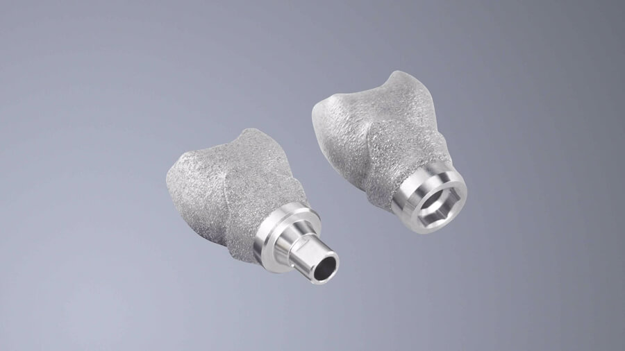 SINGLE ABUTMENT INDIVIDUALI CON PREFORMA DENTALE